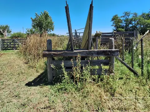 CAMPO MIXTO DE 90 HAS CON MUY BUEN ACCESO A 1.30 HS DE CABA - RANCHOS