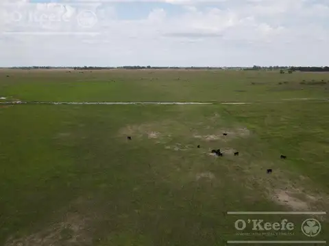 CAMPO MIXTO DE 90 HAS CON MUY BUEN ACCESO A 1.30 HS DE CABA - RANCHOS