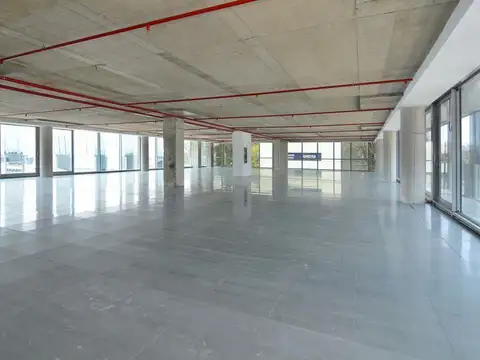 Oficina en Alquiler A Estrenar