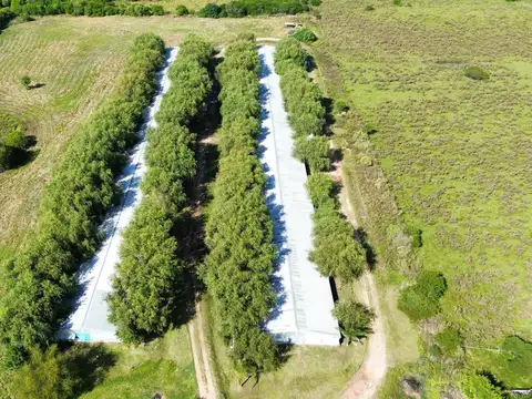 Vendo Granja Avicola en Concepción Del Uruguay, Entre Ríos.
