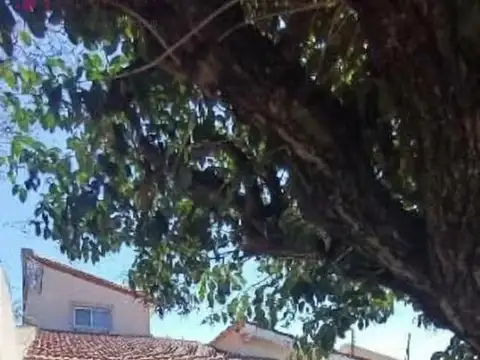 Rodriguez Peña al 800