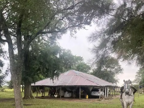 Campo en Venta de 949  ha