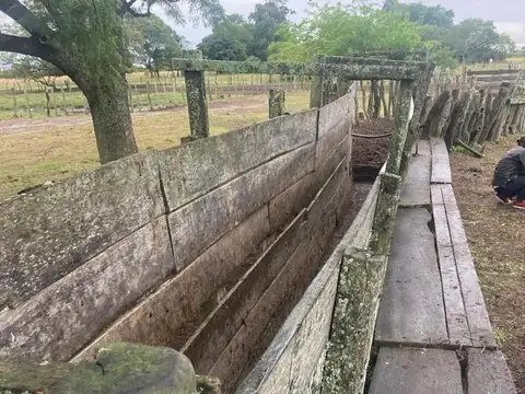Campo en Venta Agrícola