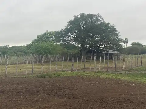 Campo en Venta Agrícola