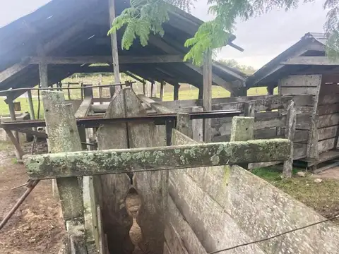 Campo en Venta de 949  ha