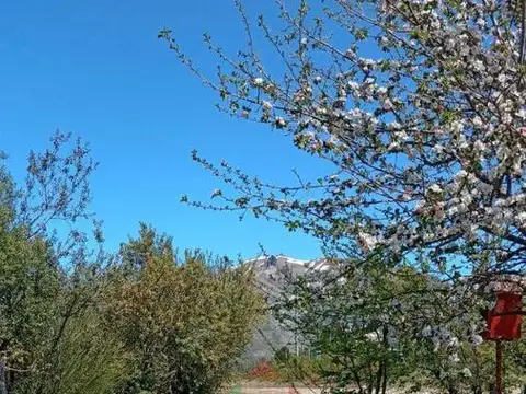 Terreno en Venta de 154,0 m2