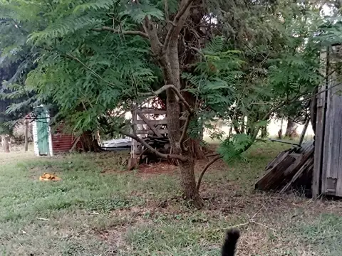 Quinta en Venta 60 años