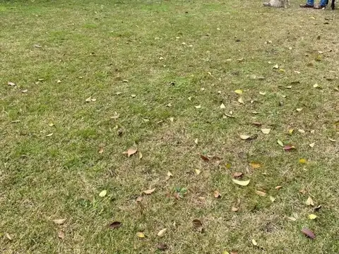 Venta de Quinta de 3 Hectáreas en La Plata