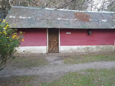130 has - Campo en Venta en Chascomus - Ideal Cria de Caballos