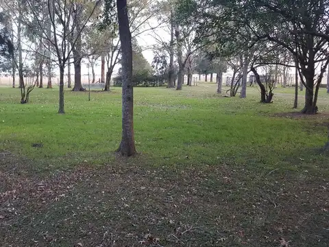 130 has - Campo en Venta en Chascomus - Ideal Cria de Caballos