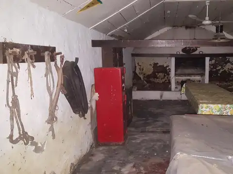 130 has Ideal cria de Caballos