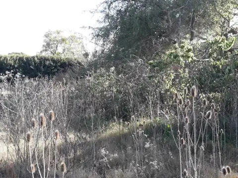 Terreno en Venta 12  mts Frente