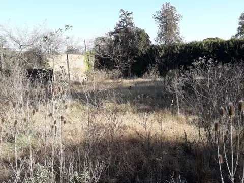 Terreno en Venta 50  mts Fondo