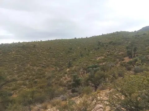 24 Hectáreas En El Recuerdo Papagayos