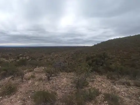 24 Hectáreas En El Recuerdo Papagayos