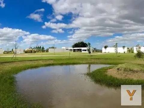 Campos de La Enriqueta