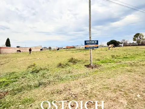 VILLA JARDIN- Camino a Aerocluub