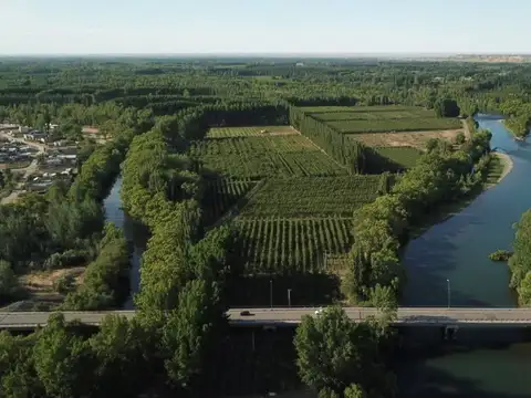 VENTA CHACRA 65 HECTÁREAS, CENTENARIO NEUQUEN