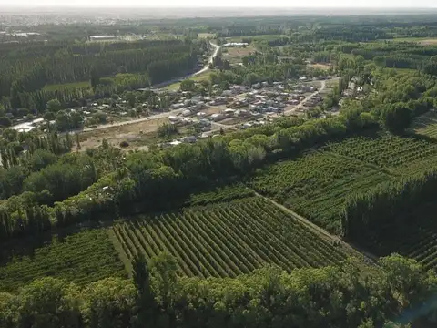 VENTA CHACRA 65 HECTÁREAS, CENTENARIO NEUQUEN