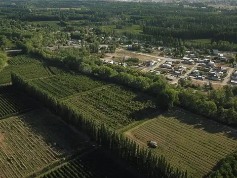 VENTA CHACRA 65 HECTÁREAS, CENTENARIO NEUQUEN