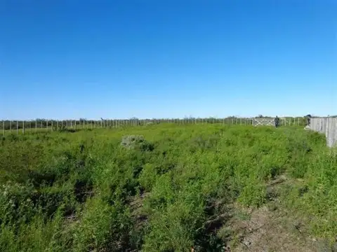 GOBERANDOR DUVAL 100