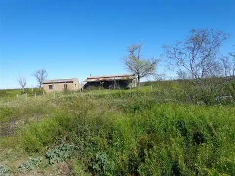 Casa Campo  en Venta en Gobernador Duval, Curaco, La Pampa - BLA5682_LP573154_3