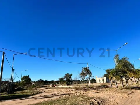 RUTA PROVINCIAL N° 1 KM 36 100