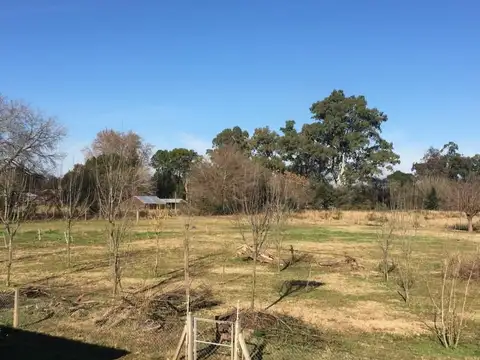 Campo en Alquiler de 50.000m2 ubicado en Belén de Escobar