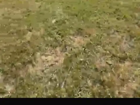 Terreno en Venta de 1100,0 m2