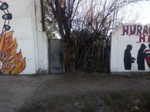 VICENTE MARTINO 1100