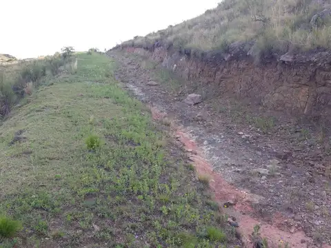 Virorco