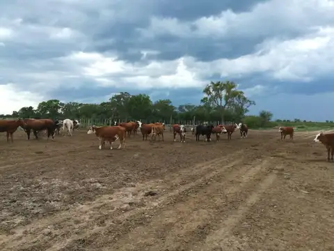 A 15 km de Ruta 34, Pinto, Santiago del Estero