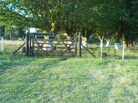 VENTA CASA EN CAMPO DE 5 HECTÁREAS EN LAS FLORES APTO PARA EXPLOTACIÓN GANADERA Y AGRÍCOLA O PARA CA