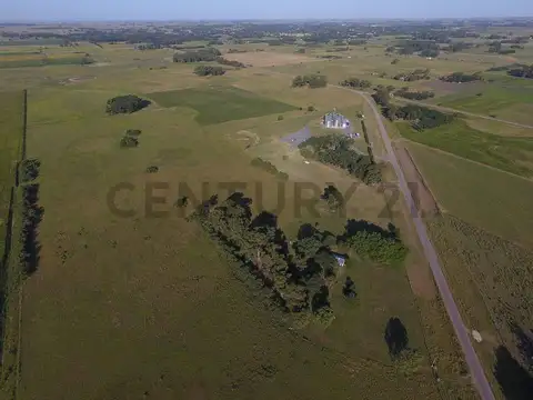 VENTA CASA EN CAMPO DE 5 HECTÁREAS EN LAS FLORES APTO PARA EXPLOTACIÓN GANADERA Y AGRÍCOLA O PARA CA