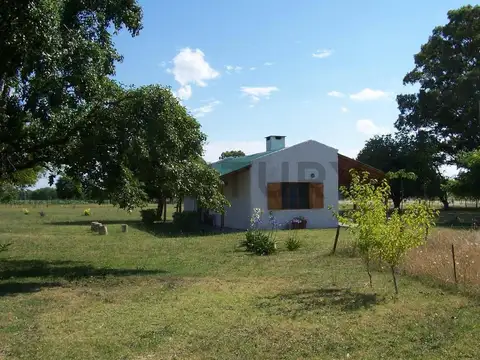 VENTA CASA EN CAMPO DE 5 HECTÁREAS EN LAS FLORES APTO PARA EXPLOTACIÓN GANADERA Y AGRÍCOLA O PARA CA