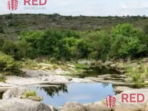 Terreno en Venta 50  mts Fondo