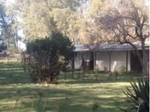 Venta de Campo, Ciudad de Oriente, Coronel Dorrego