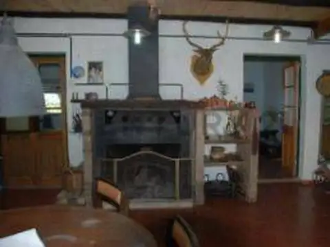 Venta de Campo, Ciudad de Oriente, Coronel Dorrego