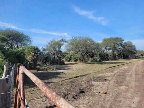 Arroyo Carpinchori 100