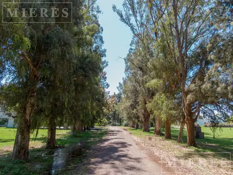 Casa en venta en Casuarinas del Pilar, Silverio Basabe 900, Zelaya