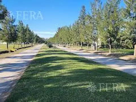 CAMPOS DE ROCA II - LOTE  12