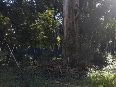 Lote Barrio El Sosiego