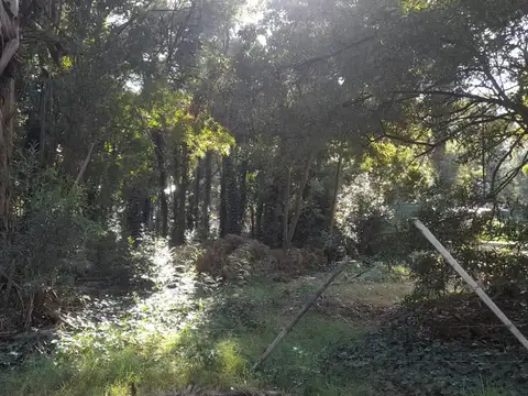 Terreno en Venta de 779,0 m2