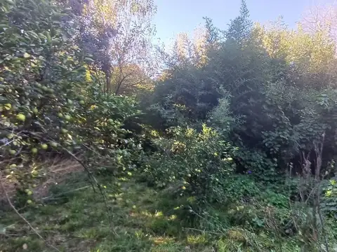 Casa en Venta 61 años