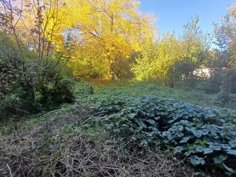 VENTA CASA-QUINTA AMPLIO TERRENO VIRREY DEL PINO