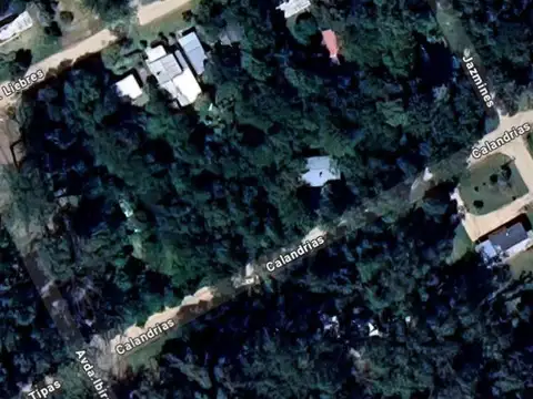 Terreno en Venta en Colonia Santa Ana, USD 45.000