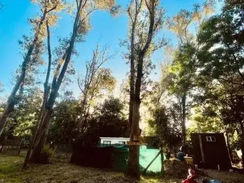 Terreno en Venta en Colonia Santa Ana, USD 45.000