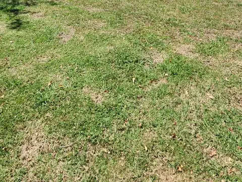 OBRA. Casa en venta en Pilar del Este - Santa Emilia