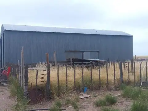 Campo - Viedma