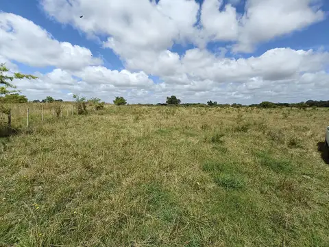 Terreno en Venta en El Pino, USD 240.000